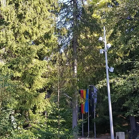 Hotel Luisenburg Gastronomie Und 3*